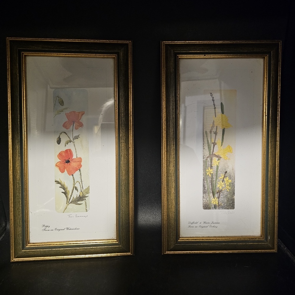 Unique Vintage Floral‎ Art Prints with Gold Frames